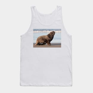 New Zealand Sea Lion 2 Tank Top